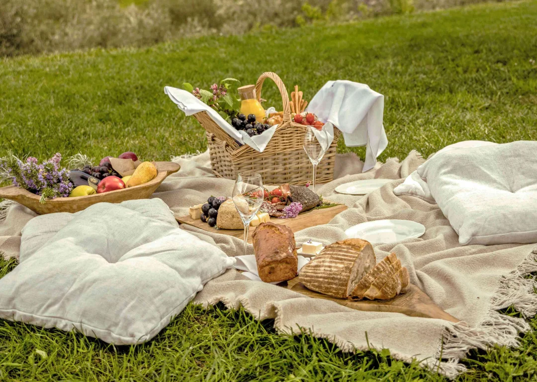 Privatdinner inmitten eines Olivenhains